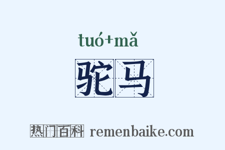 驼马是什么意思的图片